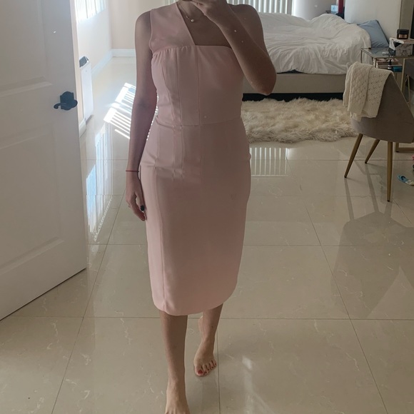 TY-LR pink midi dress from Revolve - Picture 4 of 8
